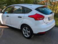 Second-hand Ford Focus 101 CP (74 kW) 2016 Alb Hatchback