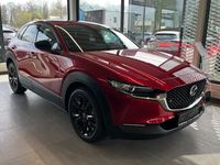 Gebraucht Mazda CX-5 Homura-Line 141 PS (103 kW) 2026 Rot SUV