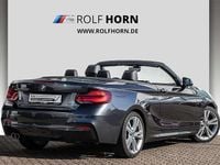 Gebraucht BMW 230 M Sport 252 PS (185 kW) 2020 Mineralgrau metallic Cabrio