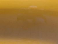 Gebraucht Ford Focus ST 280 PS (205 kW) 2020 Orange Kombi