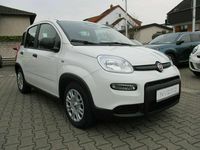 Neu Fiat Panda 69 PS (50 kW) 2025 601 Kleinwagen