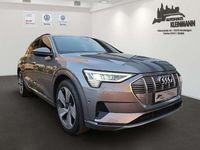 Gebraucht Audi e-tron Advanced 300 kW (408 PS) 2019 Grau SUV
