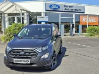 Gebraucht Ford Ecosport ST 125 PS (91 kW) 2019 Magneticgrau metallic SUV