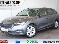 Gebraucht Skoda Octavia Ambition 150 PS (110 kW) 2023 Grau Kombi