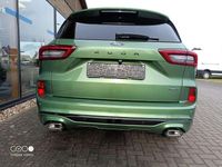 Neu Ford Kuga ST-Line 152 PS (111 kW) 2025 Bursting green metallic SUV