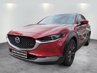 gebraucht Mazda CX-30 2.0l "Selection" M-Hybrid