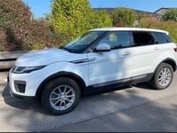 Gebraucht Land Rover Range Rover evoque Pure 150 PS (110 kW) 2017 Weiß SUV