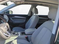 Gebraucht Audi Q5 Basis 204 PS (150 kW) 2021 Distriktgrün metallic SUV