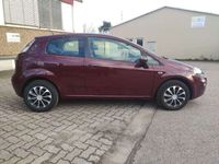 gebraucht Fiat Punto Pop Rosso Rubino