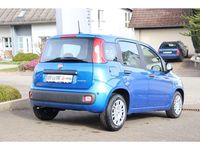 Neu Fiat Panda Icon 65 PS (47 kW) 2026 Blau Kleinwagen