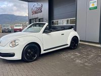 Gebraucht VW Beetle Cabriolet 105 PS (77 kW) 2015 Weiß Cabrio