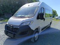 Neu Opel Movano 140 PS (102 kW) 2025 Weiss Van