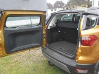 Gebraucht Ford Ecosport Titanium X 125 PS (91 kW) 2019 Gold SUV
