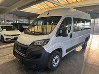 Gebraucht Fiat Ducato 2022 Van