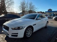 Używany Jaguar XE 180 KM (132 kW) 2016 Biały Sedan/Limuzyna