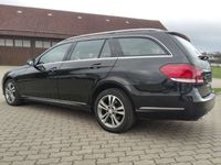 gebraucht Mercedes E220 E220 BlueEfficiency Edition BlueTec (212.201)