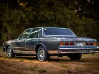 Gebraucht Chevrolet Caprice 140 PS (102 kW) 1981 Grün Limousine