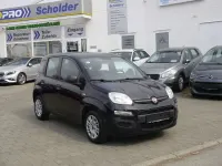 Gebraucht Fiat Panda Easy 69 PS (50 kW) 2017 Colore interno (schwarz/grau f Kleinwagen