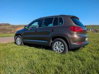 Gebraucht VW Tiguan Life 140 PS (102 kW) 2013 Braun SUV
