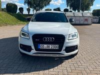 Gebraucht Audi SQ5 Competition 340 PS (250 kW) 2016 Weiß SUV