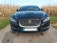 Käytetty Jaguar XJ 300 HP (220 kW) 2011 Musta Sedan
