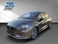 Gebraucht Ford Fiesta ST-Line 101 PS (74 kW) 2023 Grau Kleinwagen