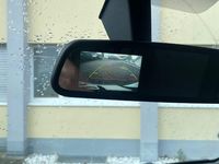 Gebraucht Renault Master 110 PS (80 kW) 2019 Weiß Van / Kleinbus