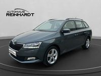 Gebraucht Skoda Fabia Cool Plus 75 PS (55 kW) 2019 Grau Kleinwagen