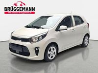 Gebraucht Kia Picanto 84 PS (61 kW) 2023 Milky beige metallic Kleinwagen