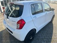 Gebraucht Suzuki Celerio Comfort 68 PS (50 kW) 2019 Weiß Kleinwagen