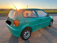 Gebraucht VW Polo 45 PS (33 kW) 1995 Grün Kleinwagen