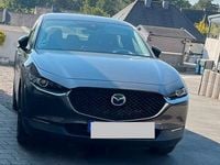 Gebraucht Mazda CX-30 116 PS (85 kW) 2020 Braun SUV