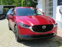 Neu Mazda CX-30 Homura-Line 140 PS (102 kW) 2026 SUV