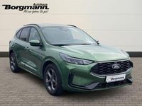 Gebraucht Ford Kuga ST-Line 151 PS (111 kW) 2025 Gruen SUV