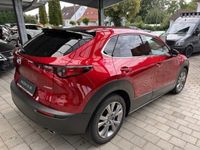 Gebraucht Mazda CX-30 122 PS (89 kW) 2019 Andere farbe metallic SUV