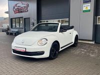 Gebraucht VW Beetle Cabriolet 105 PS (77 kW) 2015 Weiß Cabrio