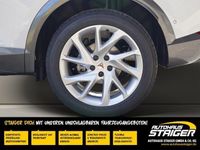 gebraucht Cupra Formentor 1.5TSI+Sofort Verfügbar+