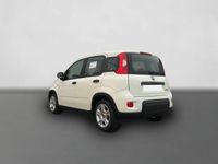 Gebraucht Fiat Panda 69 PS (50 kW) 2024 Weiß Kleinwagen