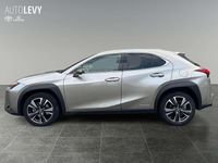 Gebraucht Lexus UX 250h 184 PS (135 kW) 2022 Metallic SUV