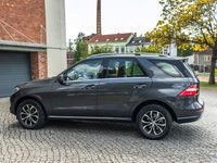 Gebraucht Mercedes ML250 204 PS (150 kW) 2014 Grau SUV