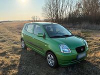 Gebraucht Kia Picanto LX 65 PS (47 kW) 2005 Grün Kleinwagen