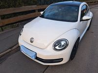 gebraucht VW Beetle 1.4 TSI Fender Edition Fender Edition