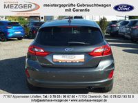 Gebraucht Ford Fiesta Titanium 101 PS (74 kW) 2019 Grau Kleinwagen