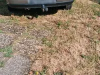 Gebraucht Opel Omega 136 PS (100 kW) 1998 Gold Limousine