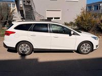 Usata Ford Focus Business Edition 120 CV (88 kW) 2015 Bianco Station wagon