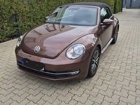 Gebraucht VW Beetle Allstar 105 PS (77 kW) 2016 Braun Kleinwagen
