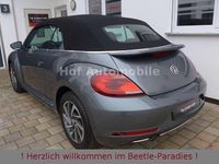 Gebraucht VW Beetle Sound 105 PS (77 kW) 2018 Grau Kleinwagen