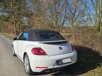 Gebraucht VW Beetle Cabriolet Allstar 105 PS (77 kW) 2016 Weiß Cabrio