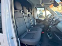Neu Fiat Ducato 140 PS (102 kW) 2025 Weiß Van