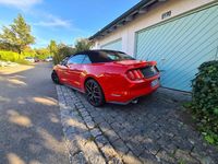 Gebraucht Ford Mustang 341 PS (250 kW) 2016 Rot Cabrio